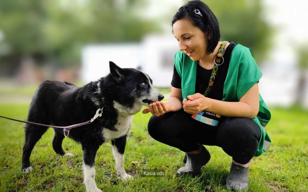 Fiesta 9518 w trakcie adopcji