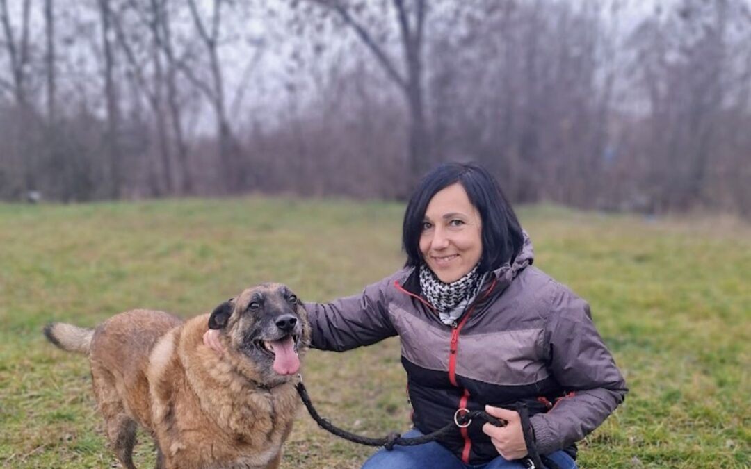 Donat 9528 do adopcji