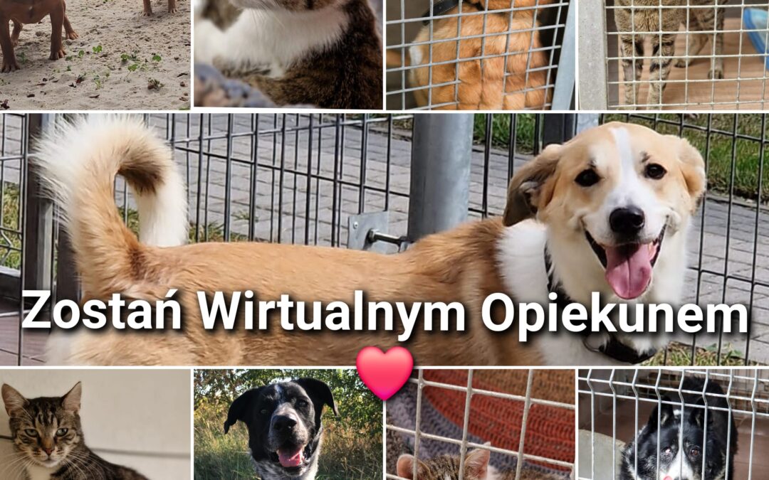 Wirtualny opiekun