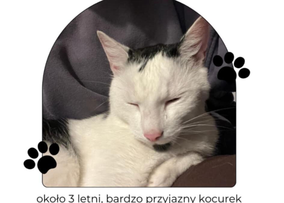 Zaginął