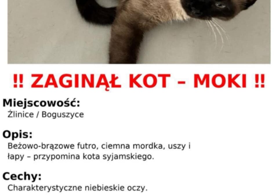 Zaginął