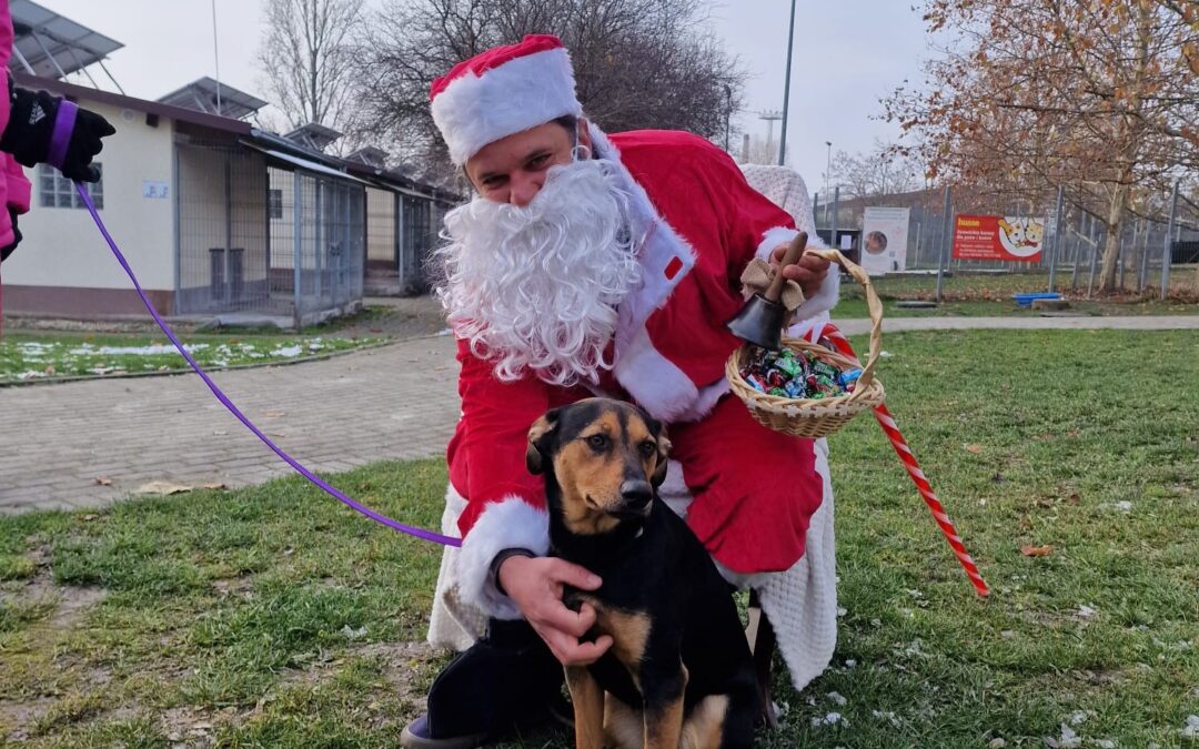 Dziękujemy MIKOŁAJOM