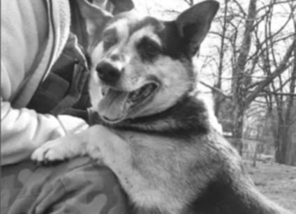 Pożegnanie  Sławka