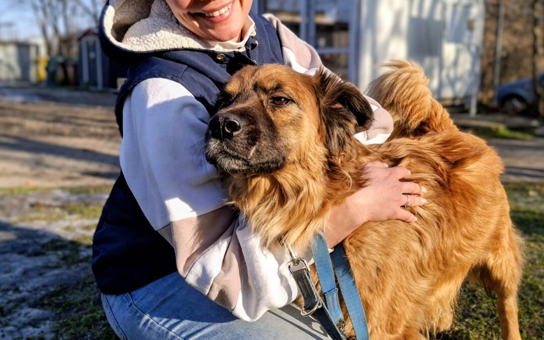 Fokus 9698 w trakcie adopcji