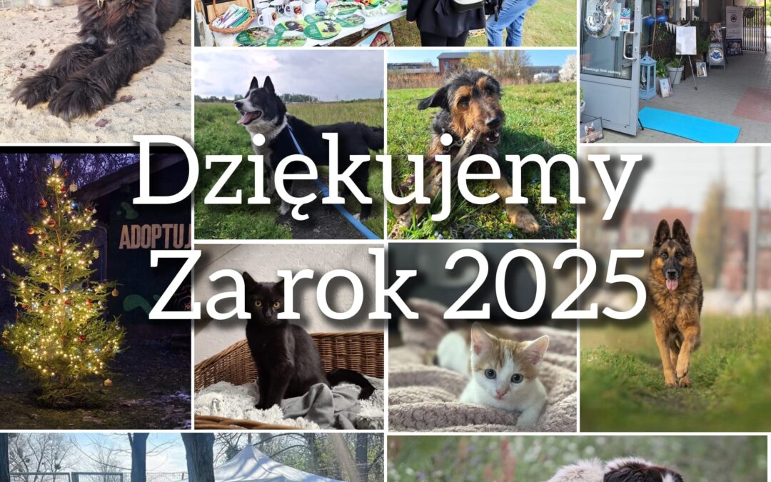 Dziękujemy za 2025 rok