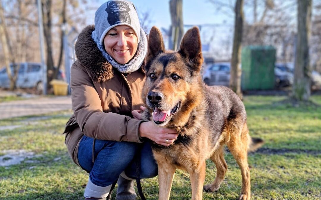 Hades 9696 do adopcji