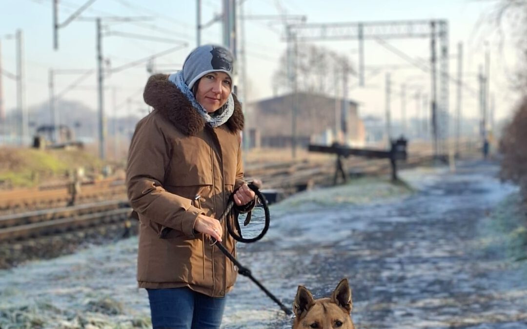 Marshall 9685 do adopcji