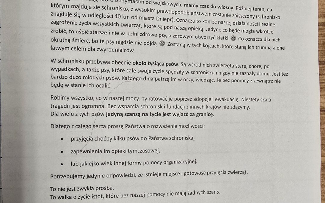 10 psiaków uratowanych