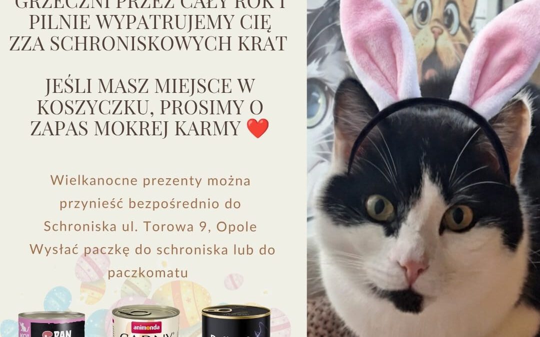 Wielkanocna Paka dla Zwierzaka