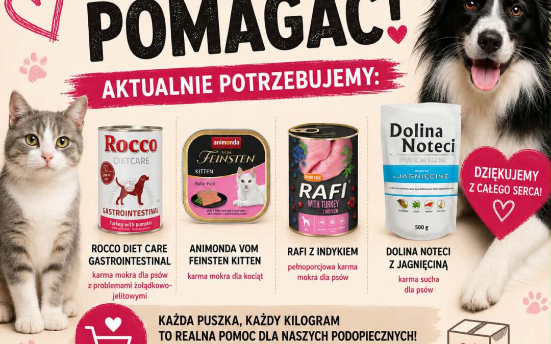 Wsparcie