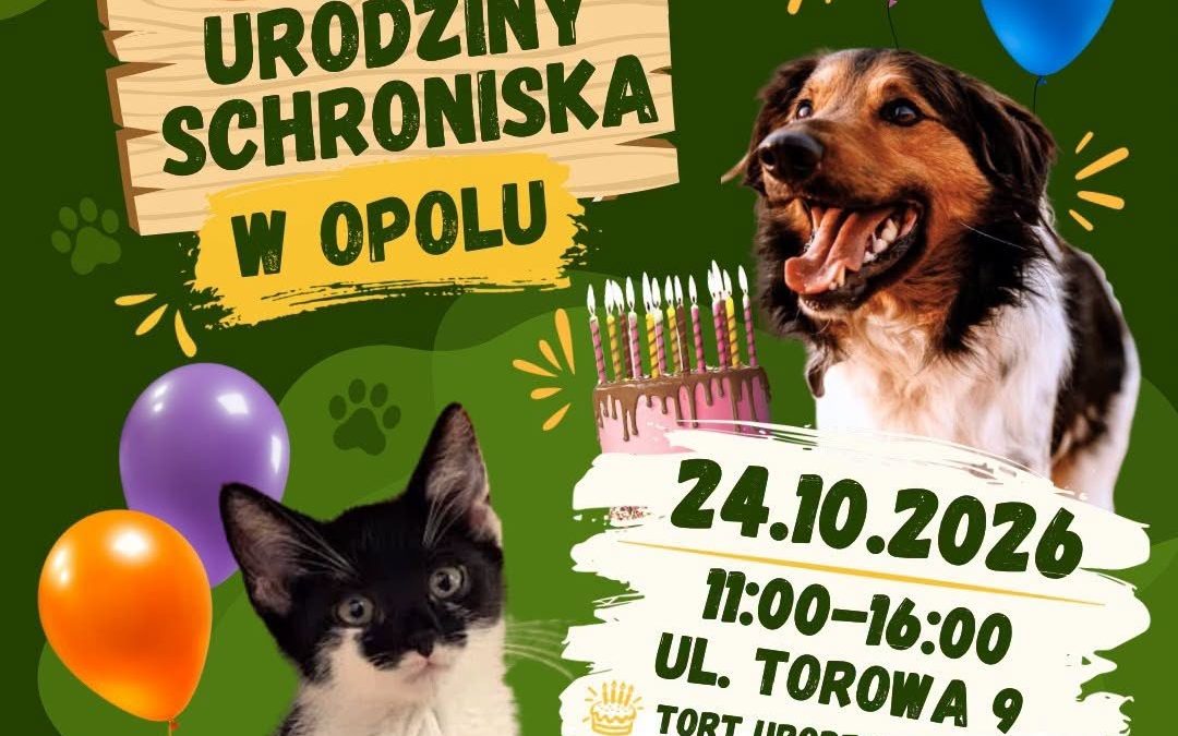 Urodziny 24.10.2026